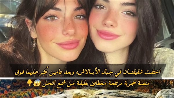 لمحة نيوز